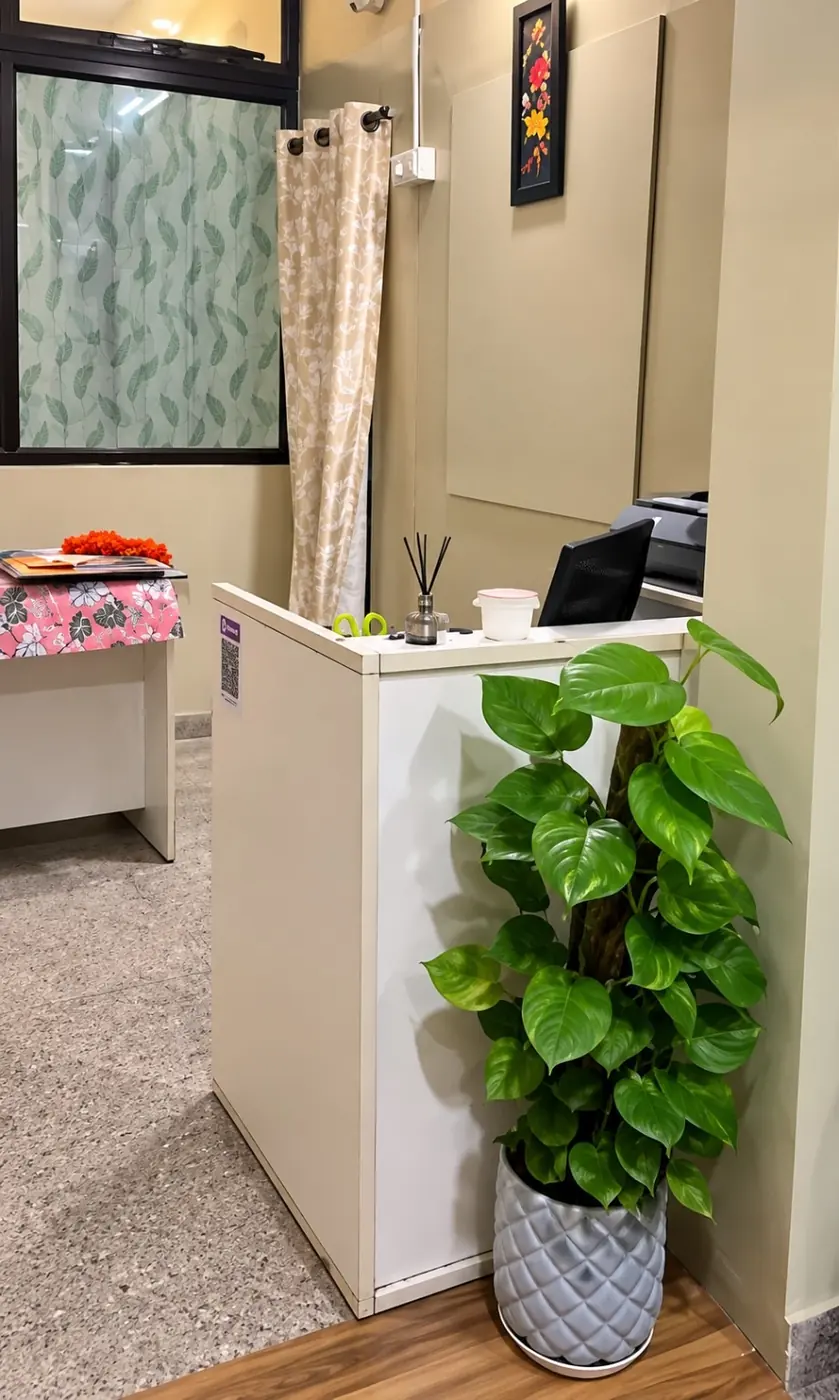 HI-TECH PG reception with a desk and indoor plant